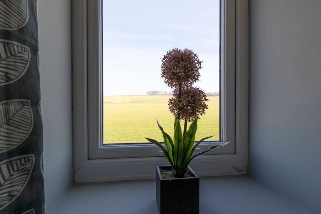 Auckland View - A Comfy & Spacious 4Bed With Views Coundon Exterior foto